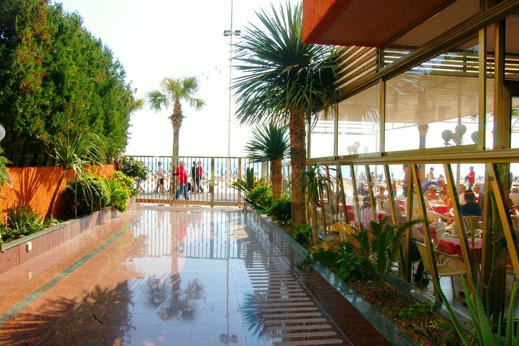 Apartamentos Torre Don Vicente - Arca Rent Benidorm Eksteriør bilde